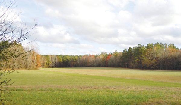 571-acre Eastern Wake Preserve to Include Equestrian Trails