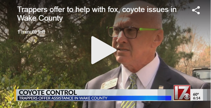 Trappers request to help with fox, coyote issues in Wake County
